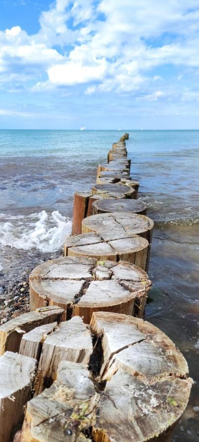 Apartment Sandsturm Im Ot Diedrichs-hagen *